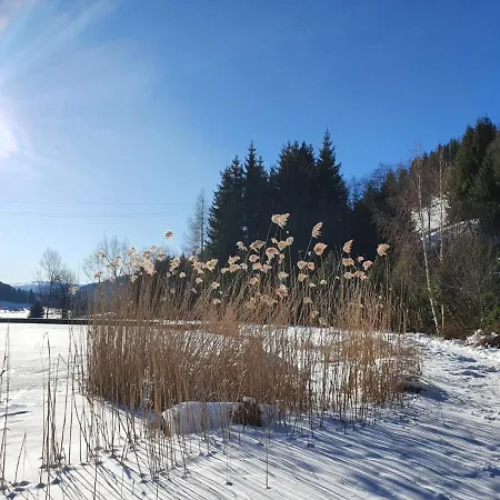 Grassegger Appartementhaus Daire