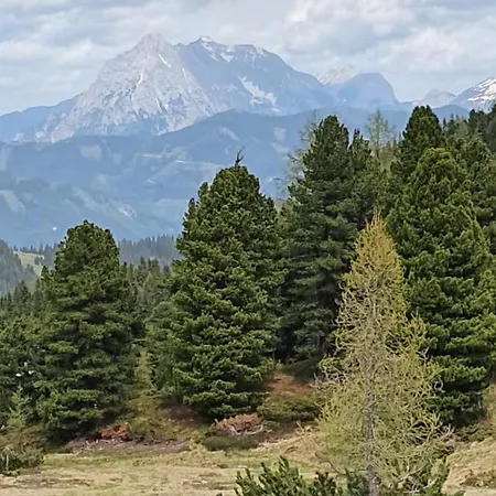 アパート Grassegger Appartementhaus *