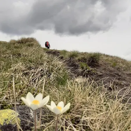 Grassegger Appartementhaus Lägenhet Sankt Johann am Tauern