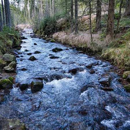 Lägenhet Grassegger Appartementhaus Sankt Johann am Tauern