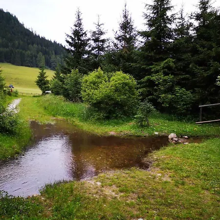 Grassegger Appartementhaus * Sankt Johann am Tauern