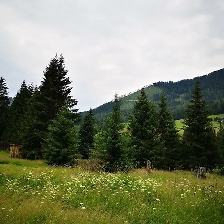 Lägenhet Grassegger Appartementhaus Sankt Johann am Tauern