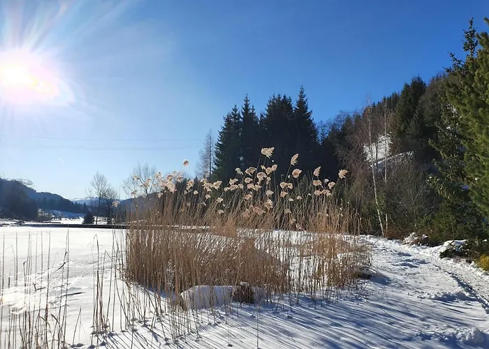 Grassegger Appartementhaus Apartman