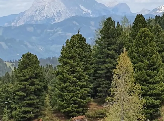 Appartement Grassegger Appartementhaus *