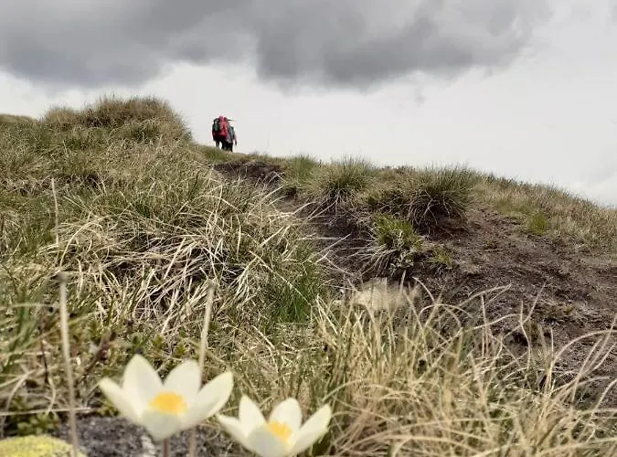 Grassegger Appartementhaus Appartement Sankt Johann am Tauern