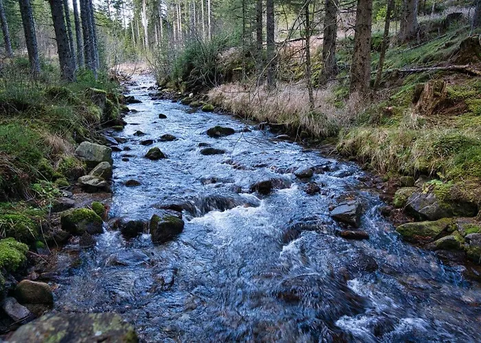 Appartement Grassegger Appartementhaus Sankt Johann am Tauern